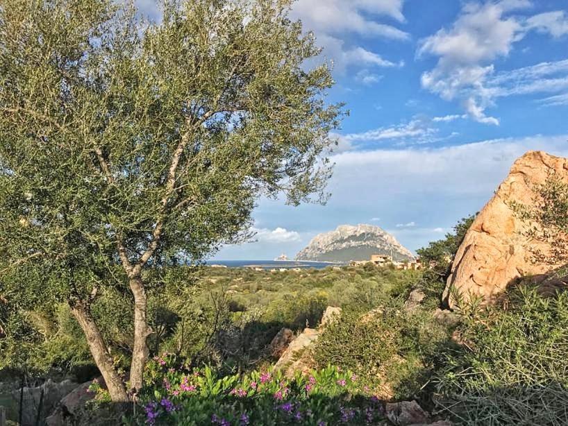 Le Caterine Villa Porto San Paolo  Buitenkant foto